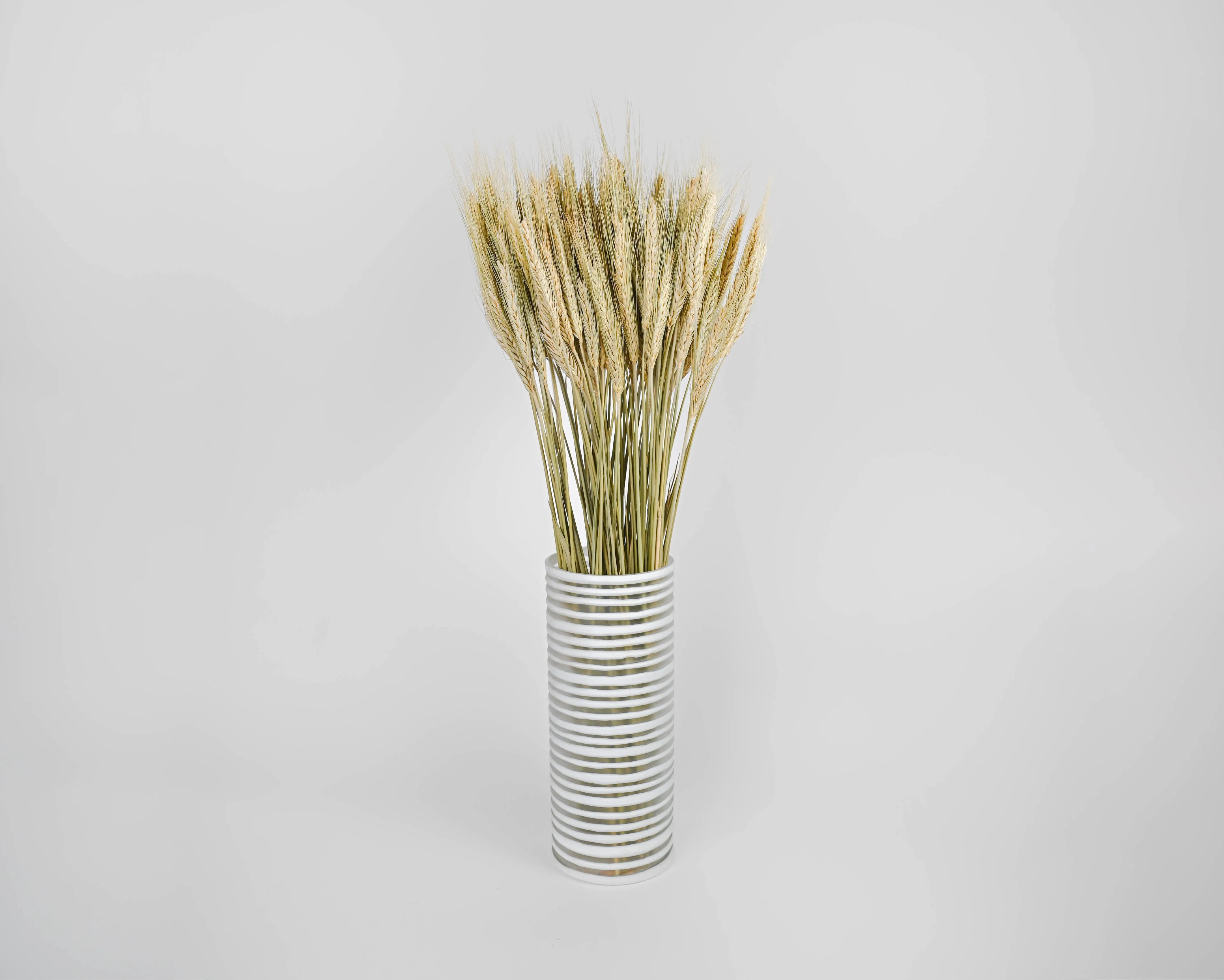 Green Bearded Wheat Bundle